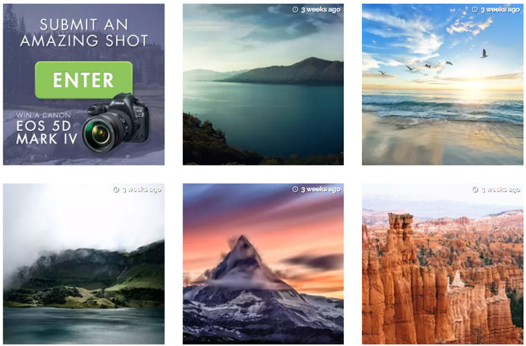 photo gallery